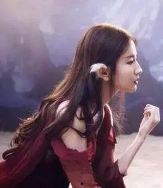 吃瓜网明星黑料刘亦菲