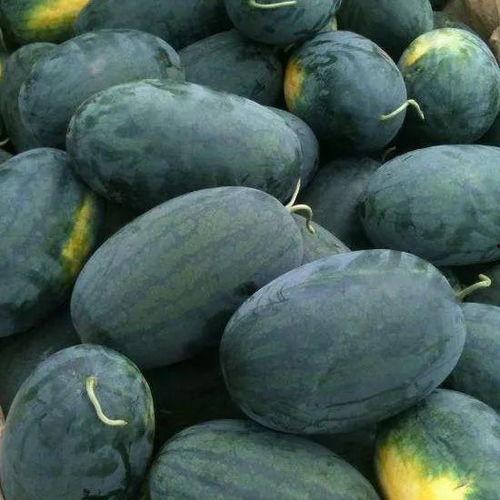 娜迪拉吃瓜黑料,揭秘娱乐圈的“吃瓜”真相